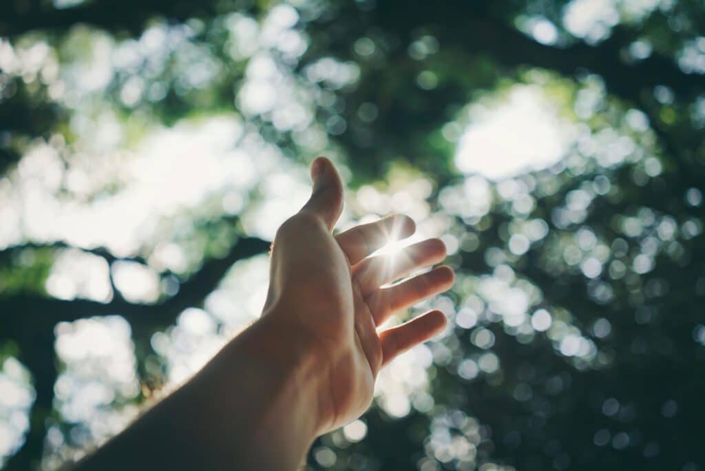 A hand reaching towards the sky, capturing sunlight in a lush forest setting.